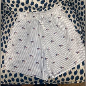 Hollister Printed American Flag Swimwear Shorts Boys XS